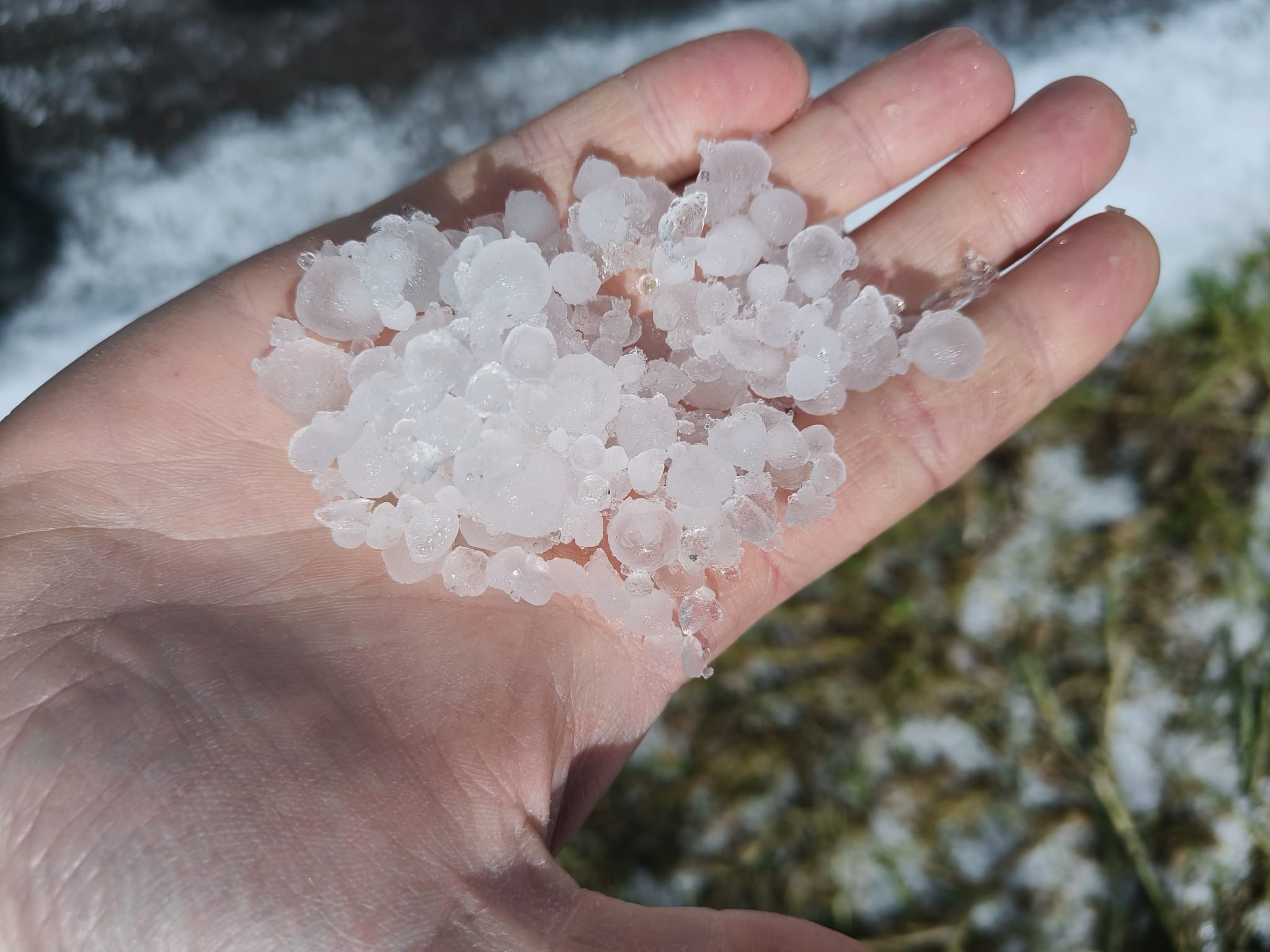 GRANDINATA A NOVA SIRI E ROTONDELLA, IL COORDINAMENTO AGRICOLTORI LUCANI: “LA REGIONE INTERVENGA SUBITO